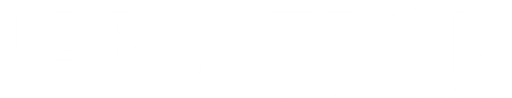 BEESLI CZ logo