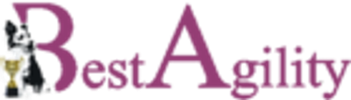 BestAgility logo