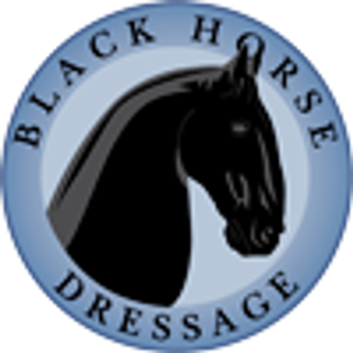 Black Horse Dressage - Katarína Hlavová logo