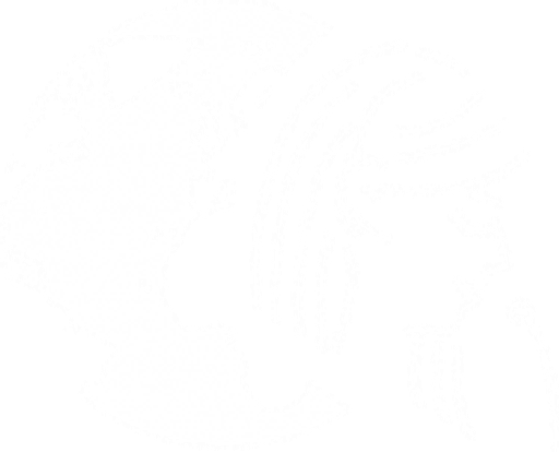 Bianca Lipanská logo