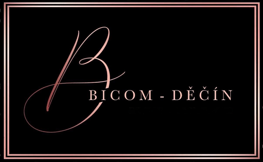 BICOM-DĚČÍN logo