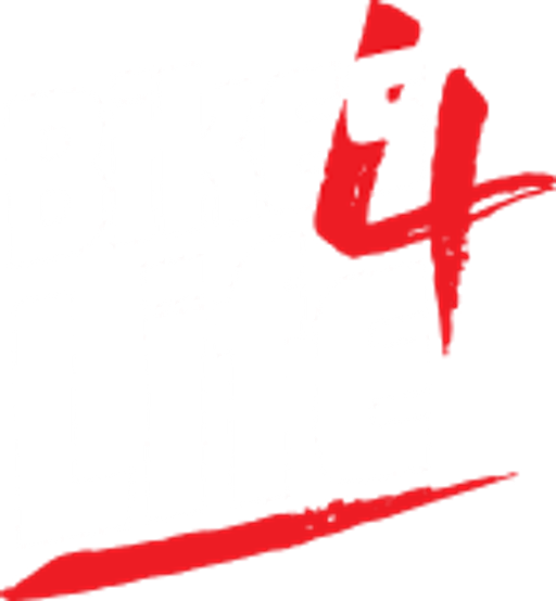 Bikes4Life logo