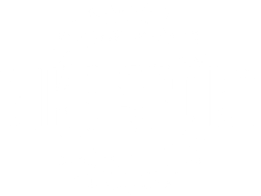 BikeSport Mohelnice logo
