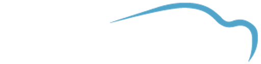 BISON FINANCE, s.r.o. logo