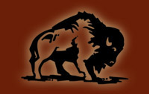BIZON-STANY s.r.o. logo