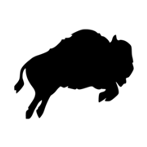 BIZON professional logo