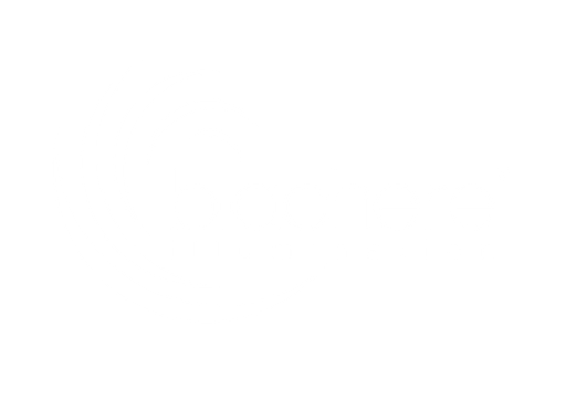 Blachere-Illumination CZ, s.r.o. logo