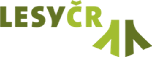 BLS dopravní stavby, s.r.o. logo