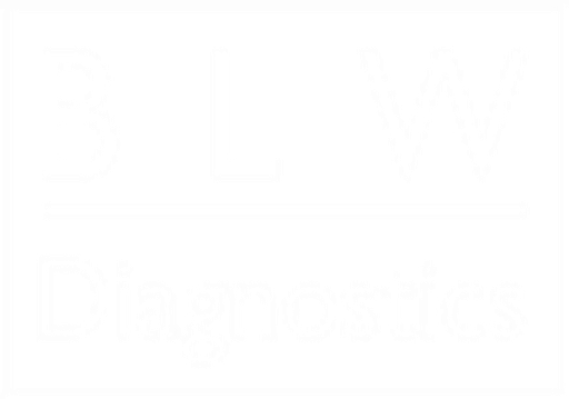 BLW, s.r.o. logo