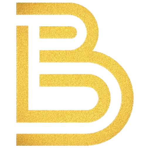 BNÚ, s.r.o. logo
