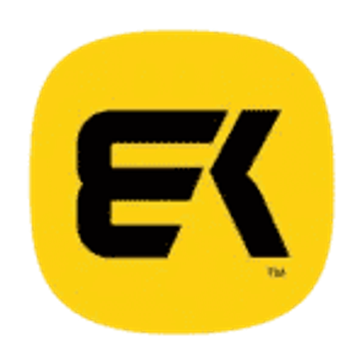 BODYKING FITNESS logo