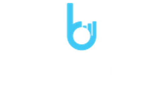 Bohemia Servis Finance, a.s. logo