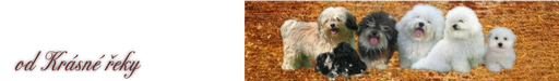 Ing. Martina Němcová logo