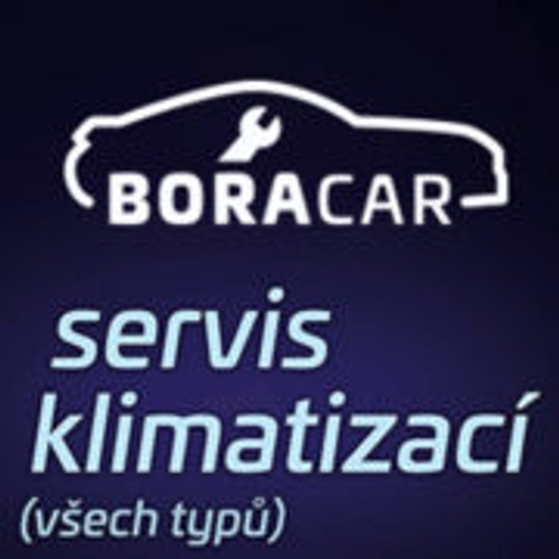 BORACAR logo