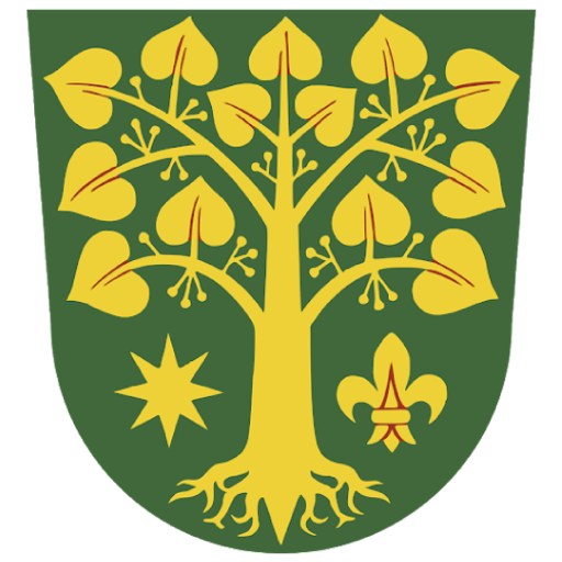 Bořenovice logo