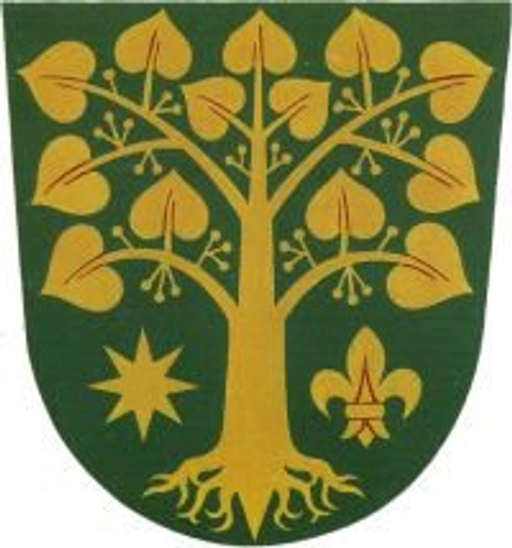 Obecní knihovna Bořenovice logo