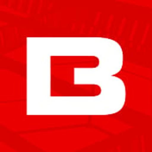 Borga s.r.o. logo