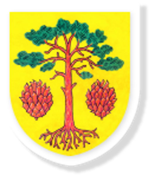 Bory logo