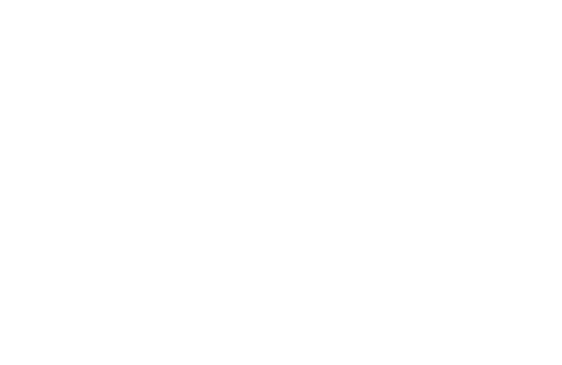Oprava kytar - Michal Vožech logo