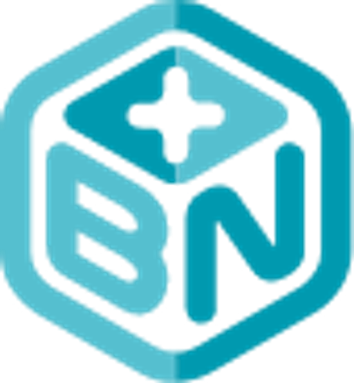 B+N Czech Republic Facility Services, s.r.o. logo