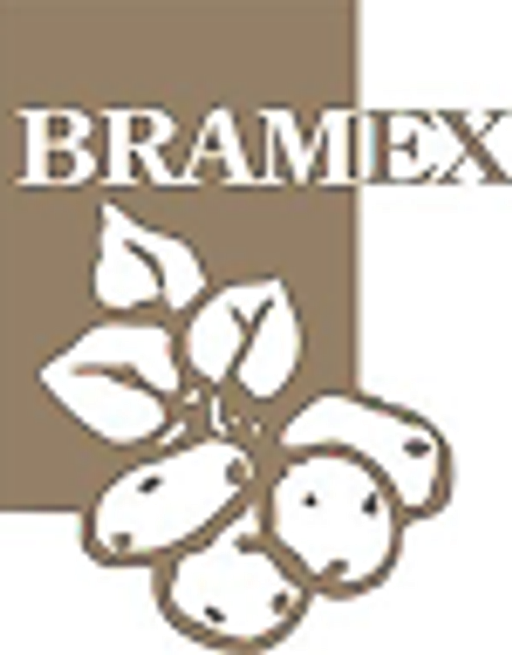 Bramex logo