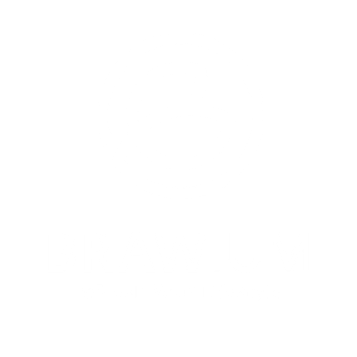 BRAWIUM s.r.o. logo