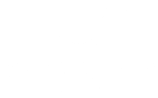 Bretech Fly s.r.o. logo