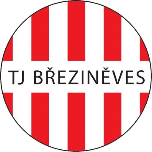 Tělovýchovná jednota Březiněves logo