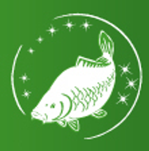 Michal BREJCHA logo