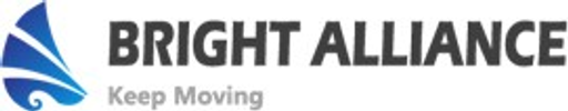 Bright Alliance Devices Central Europe s.r.o. logo