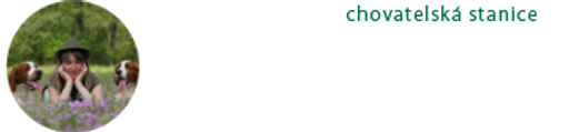 Brixi´s Pride logo