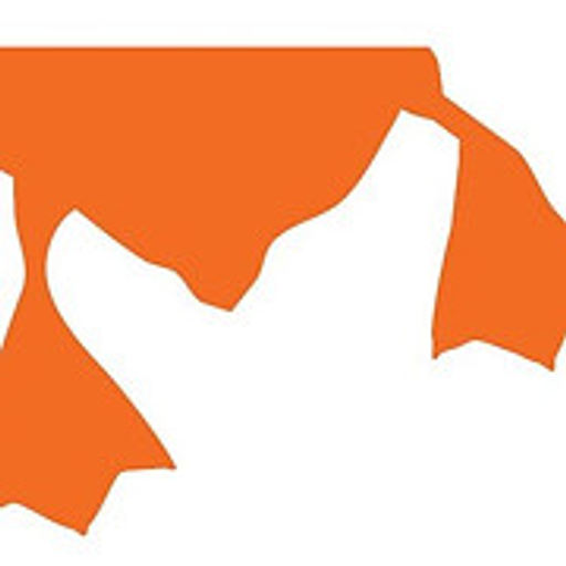 Brother & Duck International, s.r.o. logo