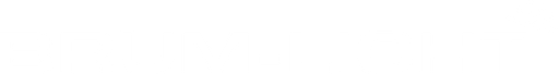 BRUM-LICHT logo