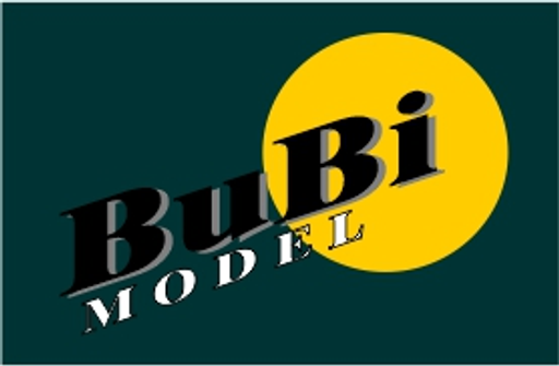 bubi-model logo