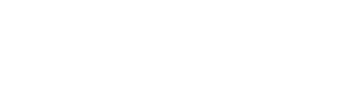 Budino logo