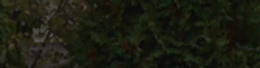 Budka zahrady logo