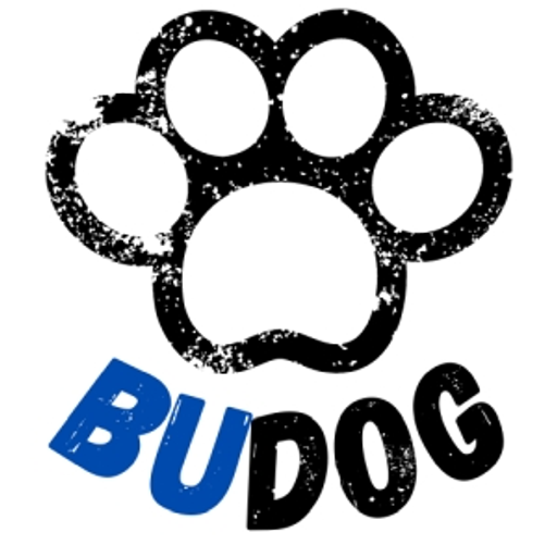Budog.cz logo