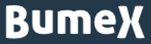 BumeX logo