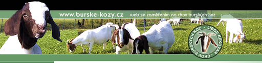 Libor Nekovář - Chov burských koz logo