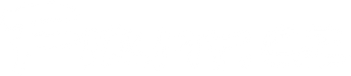 Burza Hodonice logo