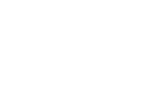 Camdi logo
