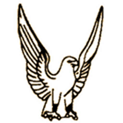 Camp Sokol Troja logo