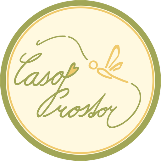 Časoprostor Martina Češpivová logo