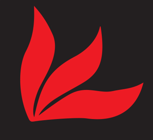 Cech EPS logo