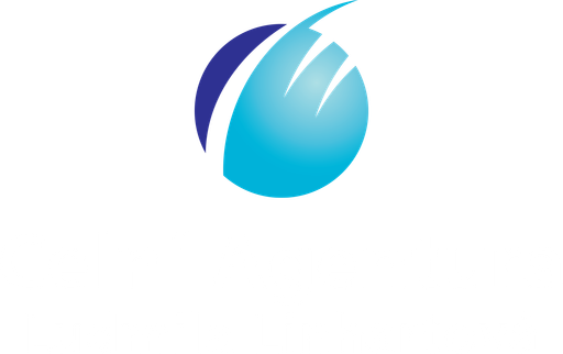 Celní agentura Ludmila Linhartová logo