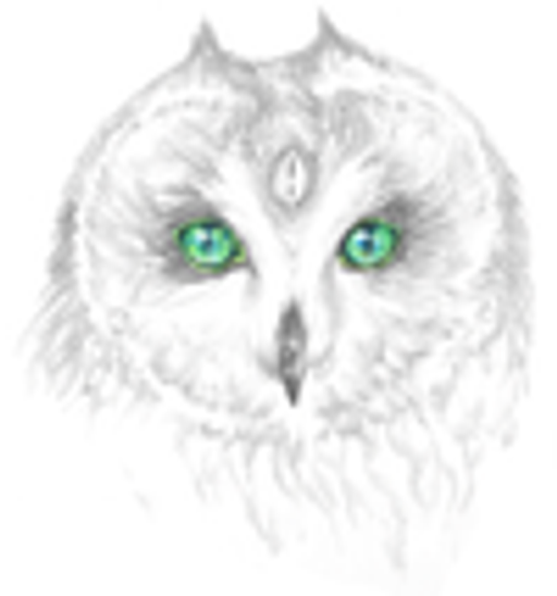 CESTA SOVY logo