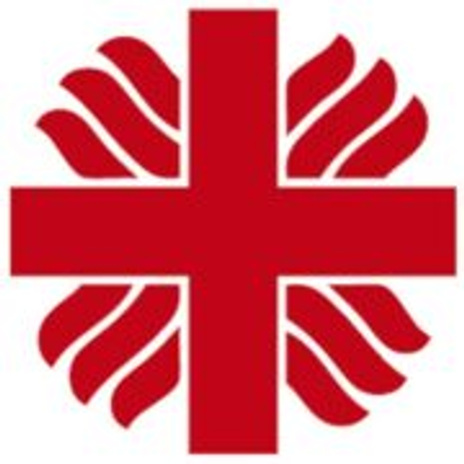 Charita Praha - Holešovice logo