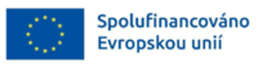 Charita Roudnice nad Labem logo