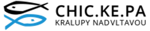 CHIC.KE.PA logo