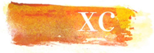 Chocoalchemy logo